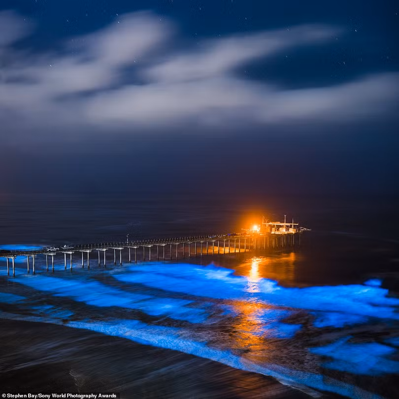 Mãn nhãn loạt ảnh đẹp dự thi giải Sony World Photography Awards 2021