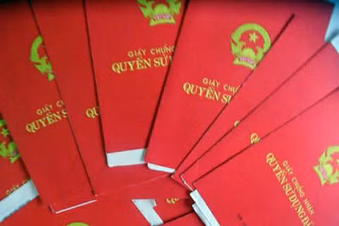 lanh dao bo tn mt giai thich so do ghi ten thanh vien gia dinh