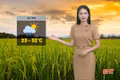 Dự báo thời tiết Hà Tĩnh ngày 11/5: Có mưa rào và dông, đề phòng lốc, sét