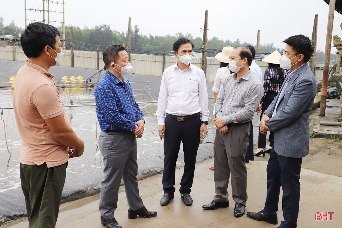 Dồn sức đưa Nghi Xuân đạt huyện nông thôn mới kiểu mẫu vào năm 2024