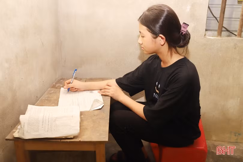 MS2311: Mồ côi tội lắm ai ơi...