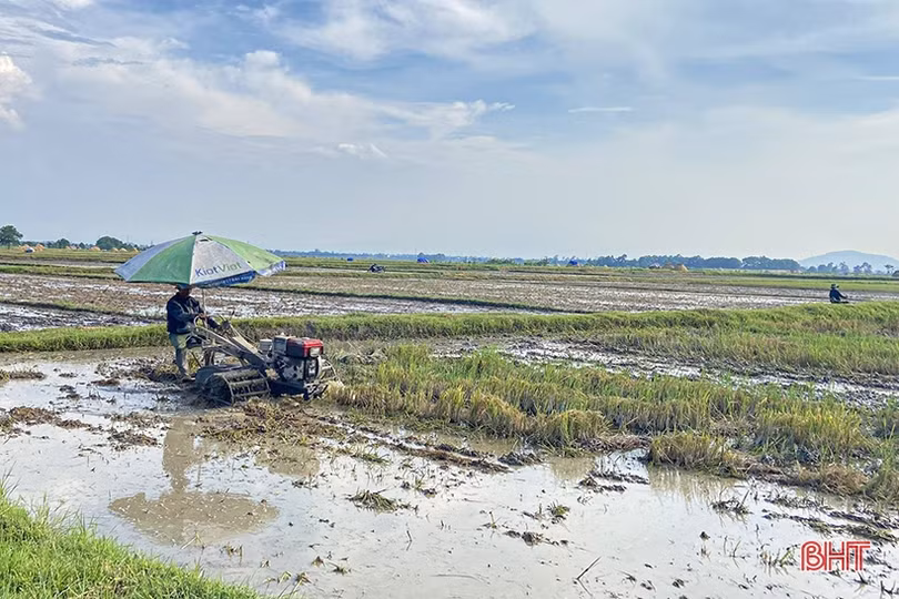 Hà Tĩnh chủ động sản xuất, đảm bảo vụ hè thu “ăn chắc”