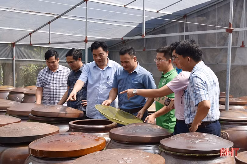 Lộc Hà có thêm 2 sản phẩm được công nhận đạt chuẩn OCOP 3 sao