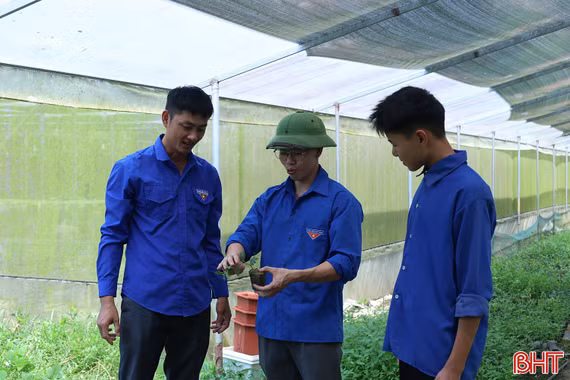 Khởi nghiệp từ những mầm hoa