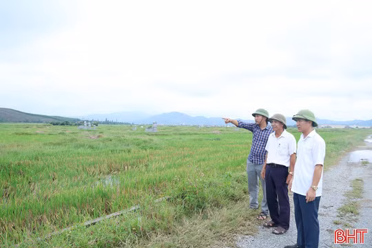 Kỳ Khang tạo đồng thuận trong quy tập mộ, mở đường tích tụ ruộng đất