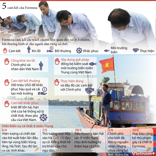 infographics 5 cam ket cua formosa trong xu ly vu ca chet