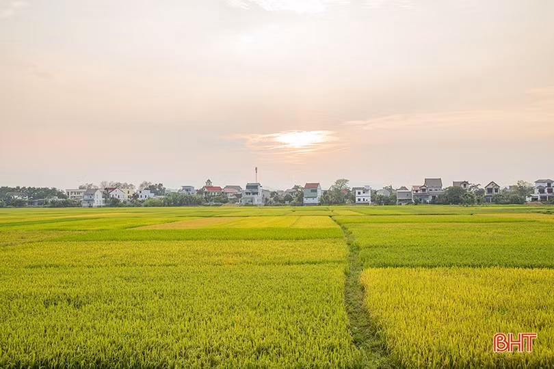 Mùa hạ đã về...