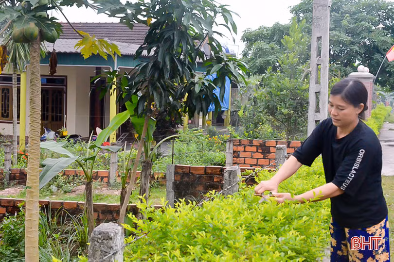Về Hà Tĩnh, ngắm vườn mẫu trên quê hương Tổng Bí thư Hà Huy Tập