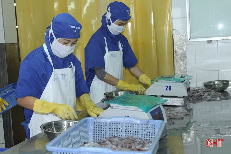Kinh tế - xã hội Hà Tĩnh: Kỳ vọng những bứt phá mới