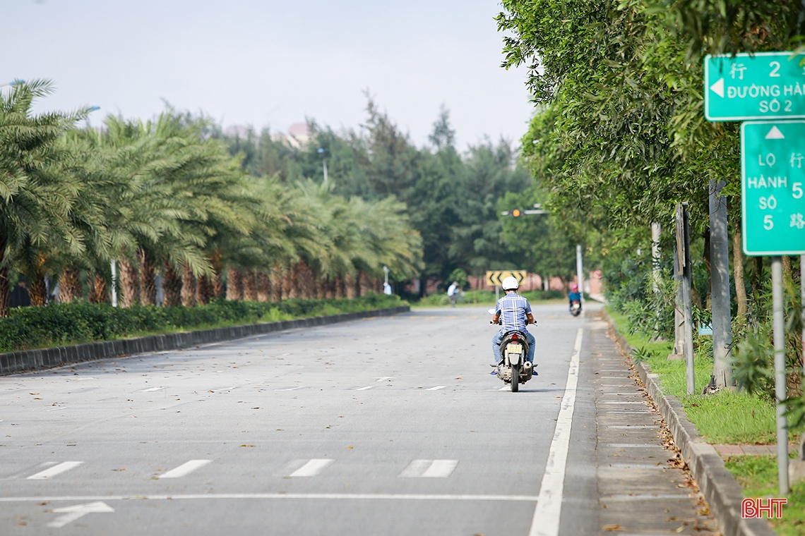 Formosa Hà Tĩnh phủ xanh 150 ha diện tích khuôn viên