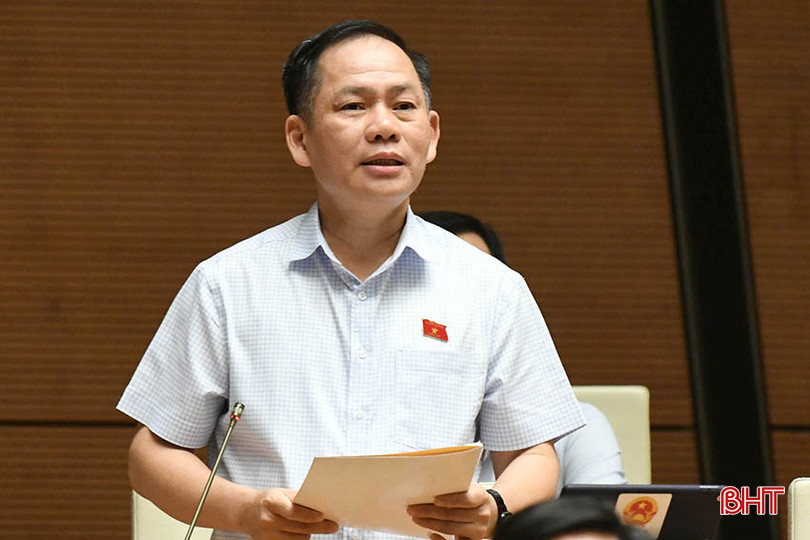 Phó Trưởng đoàn chuyên trách Đoàn ĐBQH tỉnh Hà Tĩnh Trần Đình Gia tham gia phát biểu.