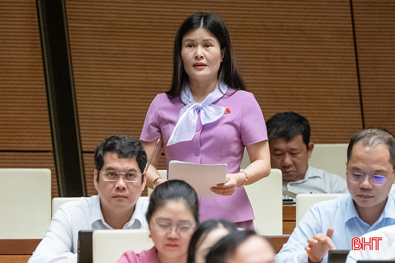 Đại biểu Quốc hội tỉnh Hà Tĩnh Bùi Thị Quỳnh Thơ tham gia thảo luận
