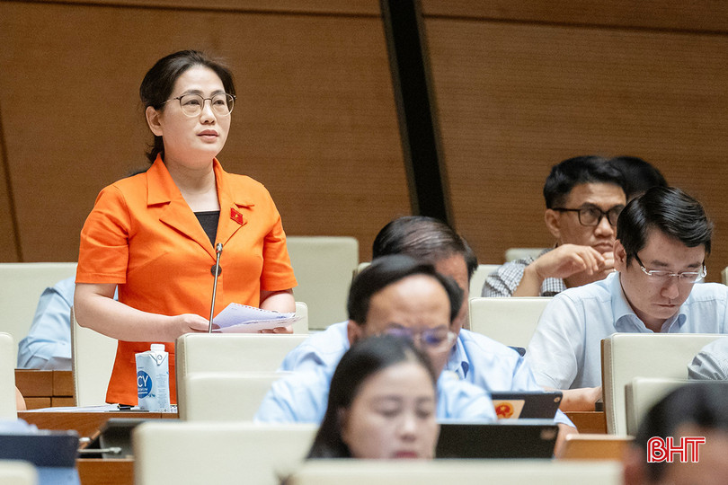 Đại biểu Phan Thị Nguyệt Thu phát biểu thảo luận.