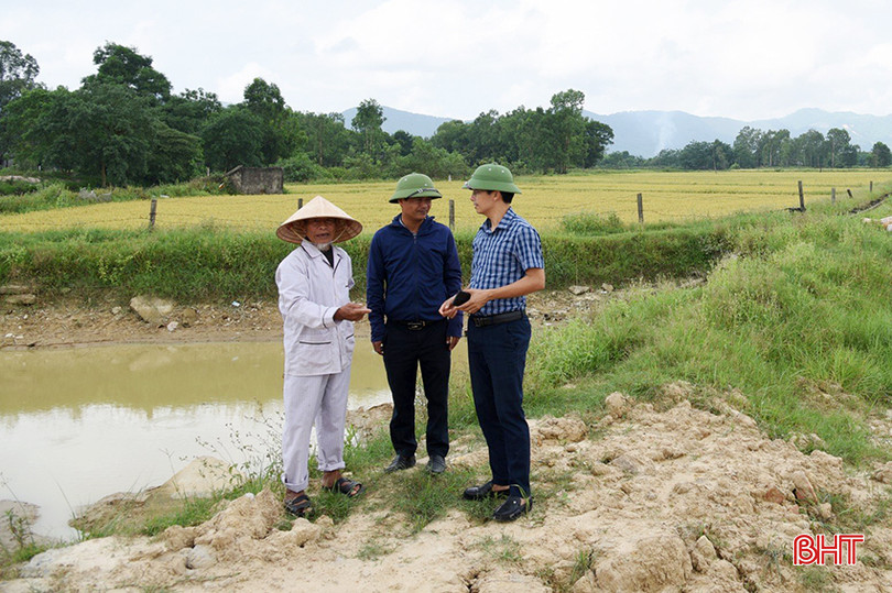 Ông Nguyễn Hữu Tạo (ngoài cùng bên trái) trao đổi về các xứ đồng hiện gặp khó khăn trong thu hoạch lúa xuân.