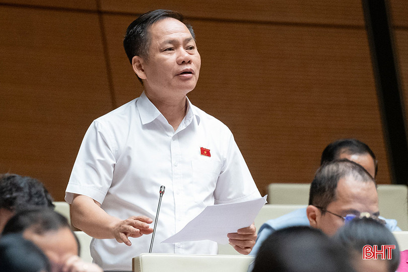 Phó Trưởng đoàn chuyên trách Đoàn ĐBQH Hà Tĩnh Trần Đình Gia tham gia thảo luận.