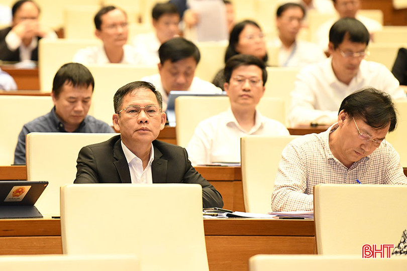 Phó Trưởng đoàn chuyên trách Đoàn ĐBQH tỉnh Hà Tĩnh Trần Đình Gia tham dự hội nghị.