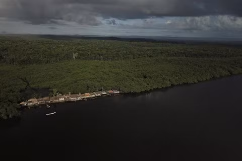 Cư dân rừng ngập mặn Brazil đương đầu với biến đổi khí hậu