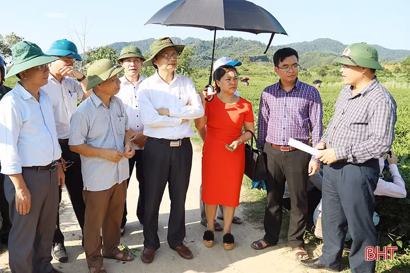 Sơn Kim 2 hướng tới xã nông thôn mới kiểu mẫu, phát triển du lịch sinh thái