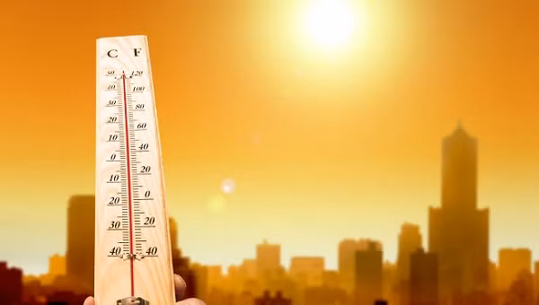 2019 sẽ là năm nóng nhất trong lịch sử nhân loại