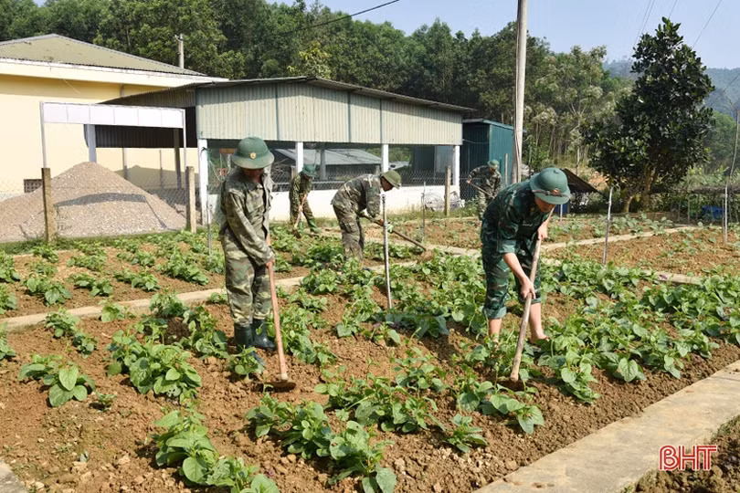 Các đơn vị biên phòng chủ động tăng gia phục vụ bộ đội ăn tết