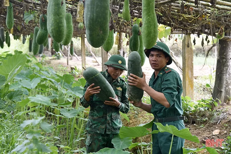 Các đơn vị biên phòng chủ động tăng gia phục vụ bộ đội ăn tết