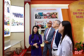 Hành trình vươn ra thế giới của Truyện Kiều
