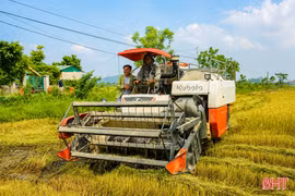 Chủ động sản xuất vụ lúa hè thu, kiến tạo giá trị mới trên đồng ruộng
