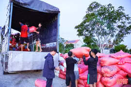 Vào cao điểm thu hoạch vụ hè thu, giá lúa tại Hà Tĩnh ra sao?