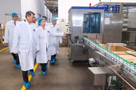 Thủ tướng Lê Minh Hưng thăm dự án Angkormilk của Vinamilk tại Campuchia