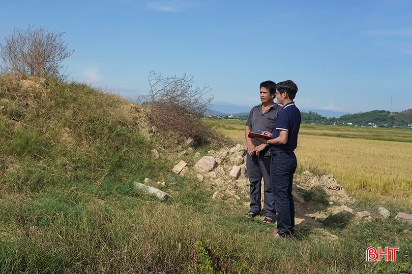đat b.jpg
