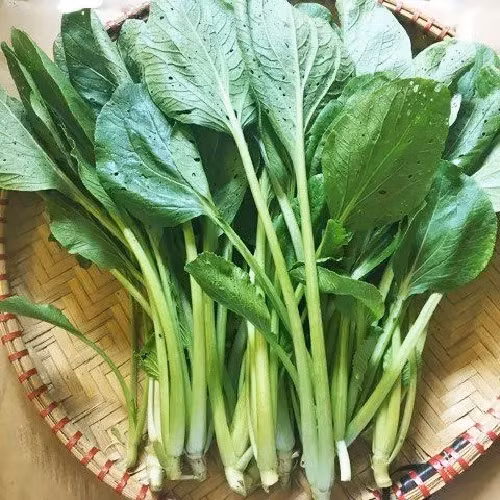 Cách lựa chọn, bảo quản, chế biến rau cải an toàn