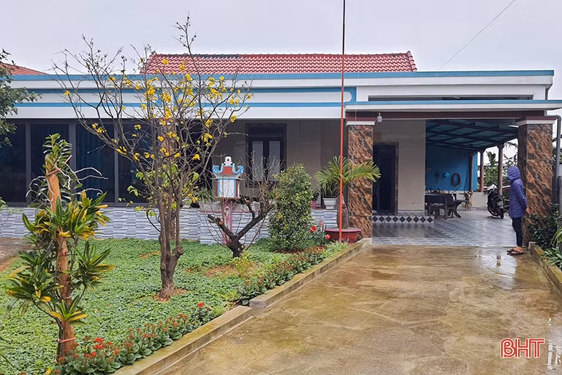 Mai vàng khoe sắc ở xã vùng biển Hà Tĩnh
