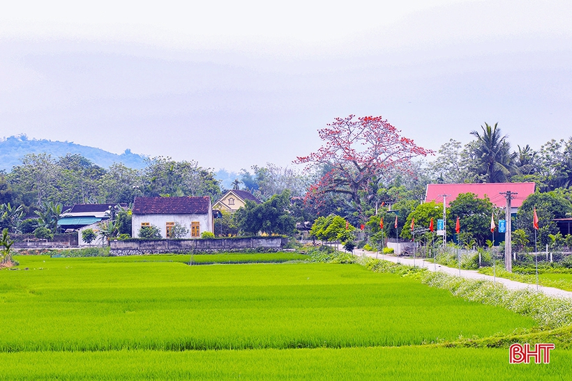 Truyện ngắn: Ngày trở về