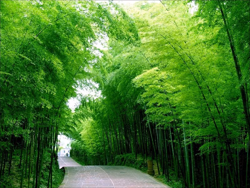nhung diem den ngoai doi dep hon tren phim