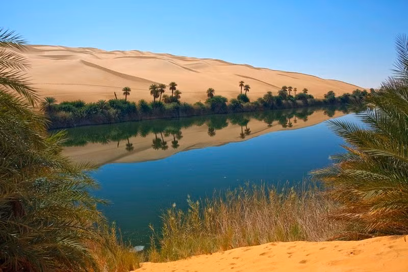 nhung su that bat ngo ve sa mac sahara