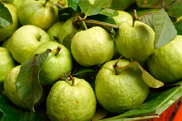 10 loai qua mua he tot cho da nen an thuong xuyen