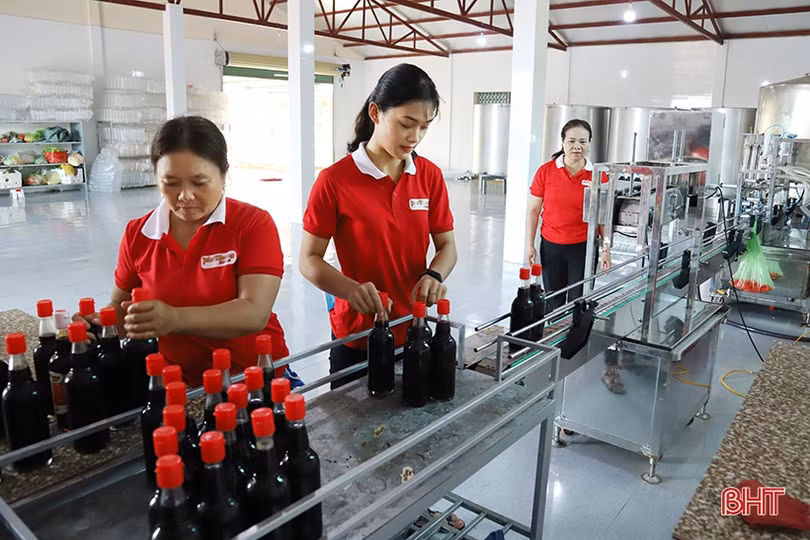 OCOP Hà Tĩnh: Nâng tầm sản phẩm, mở rộng thị trường