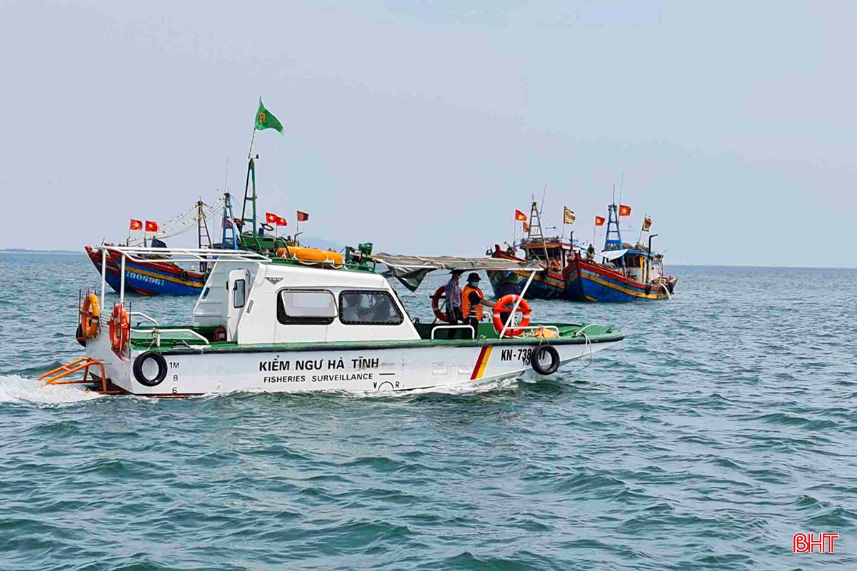 bqbht_br_iuu-4.jpg