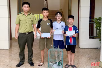 3 học sinh ở Hà Tĩnh giao nộp cá thể chim quý hiếm