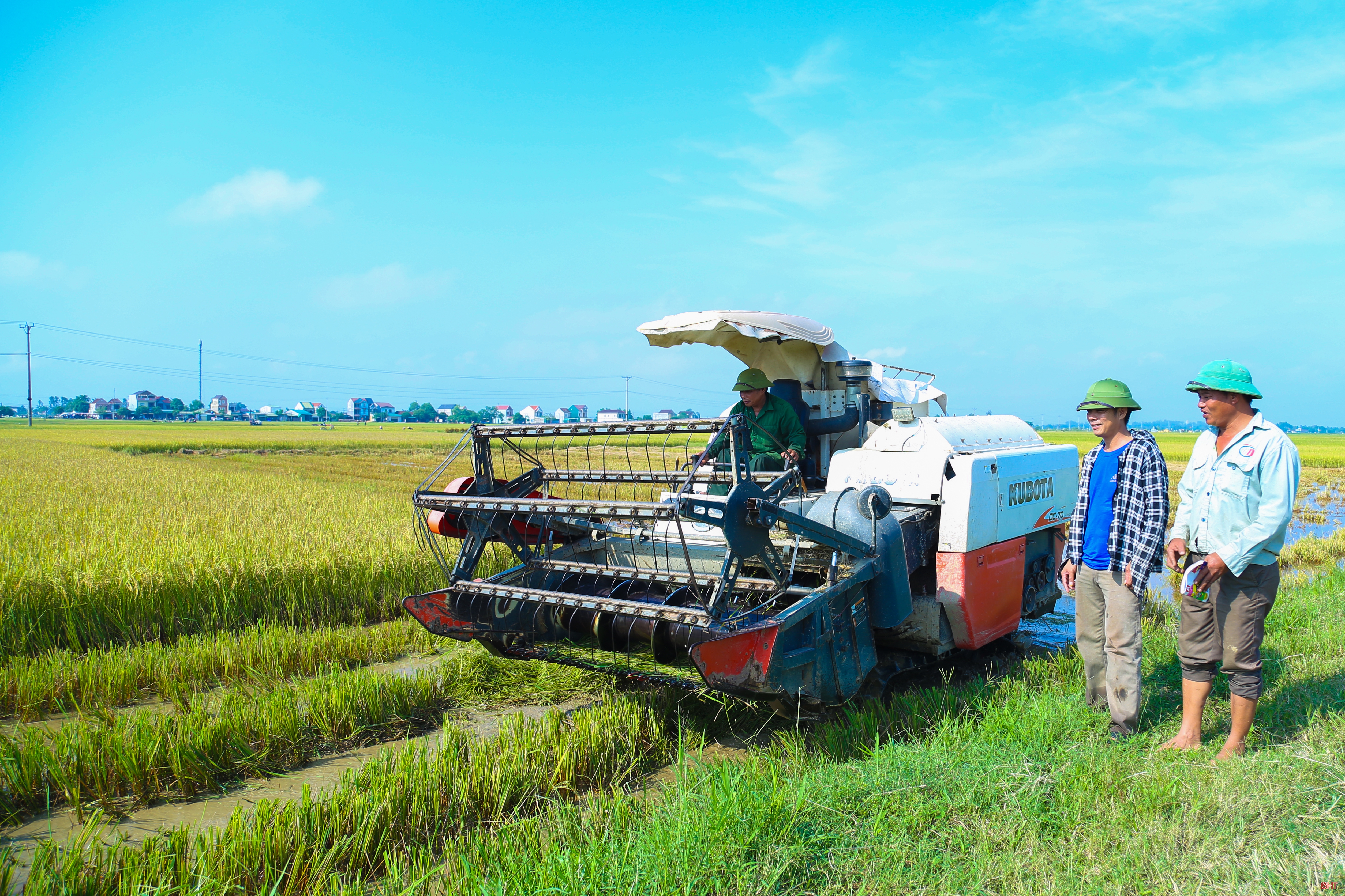 Chủ động trong sản xuất, Hà Tĩnh giành thắng lợi vụ hè thu 2022