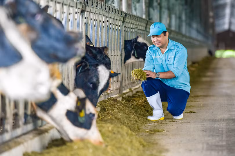 Vinamilk tiếp nhận thành công 1.550 bò sữa nhập từ Mỹ về các trang trại Green Farm