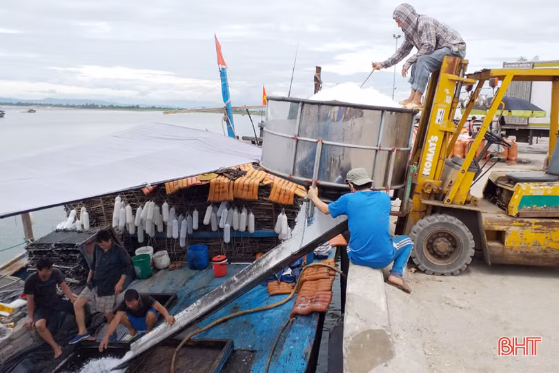 Xăng dầu “hạ nhiệt”, ngư dân Hà Tĩnh phấn khởi vươn khơi