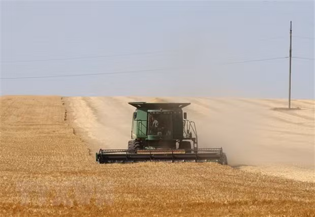 Phản ứng của quốc tế về thỏa thuận xuất khẩu ngũ cốc giữa Nga-Ukraine