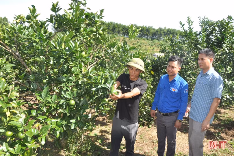 Vốn chính sách giúp nông dân huyện miền núi Hà Tĩnh làm giàu