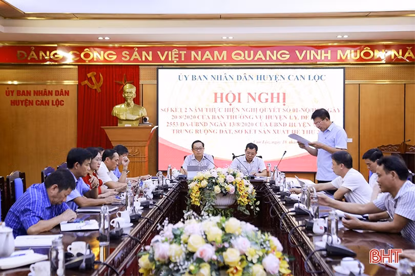 Can Lộc phấn đấu đến năm 2025 sẽ tập trung, tích tụ 50% tổng diện tích đất nông nghiệp