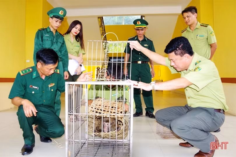 Bộ đội Biên phòng Hà Tĩnh gắn tuần tra bảo vệ biên giới với bảo vệ rừng
