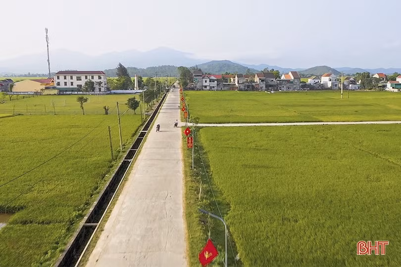 Can Lộc phấn đấu đến năm 2025 sẽ tập trung, tích tụ 50% tổng diện tích đất nông nghiệp