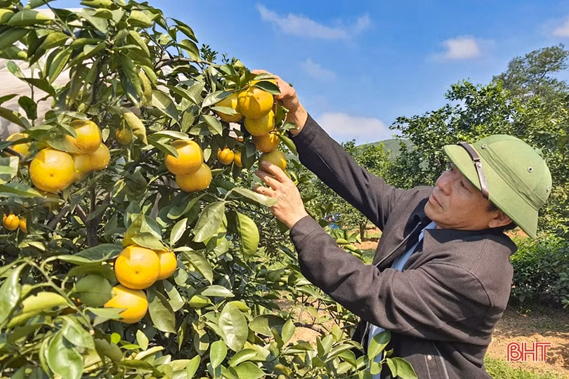 Nông thôn Kỳ Anh “khoác áo mới” đón mừng năm 2021