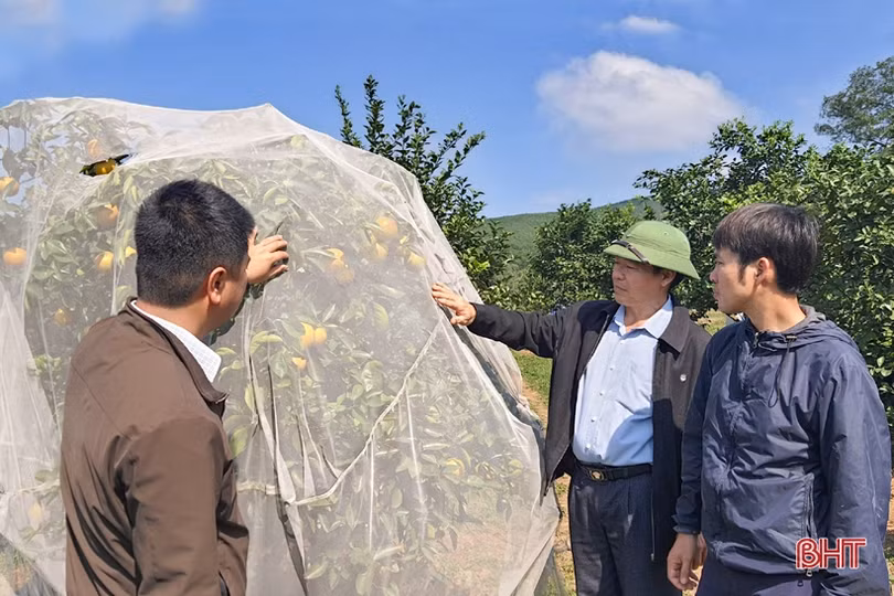Nông thôn Kỳ Anh “khoác áo mới” đón mừng năm 2021