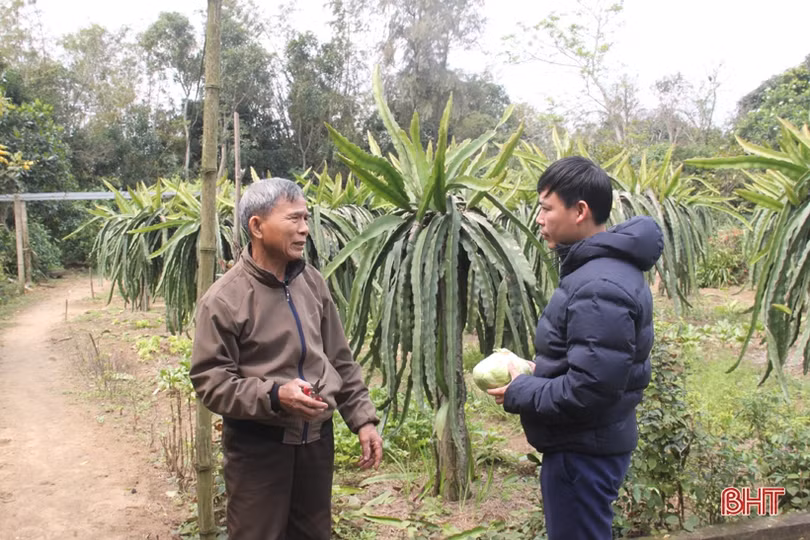 Ngắm vườn mẫu của những cụ ông Hà Tĩnh ở tuổi “xưa nay hiếm”